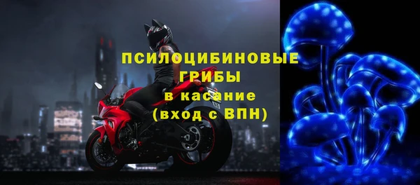 МДПВ Нея
