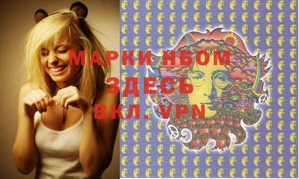 индика Нефтекумск